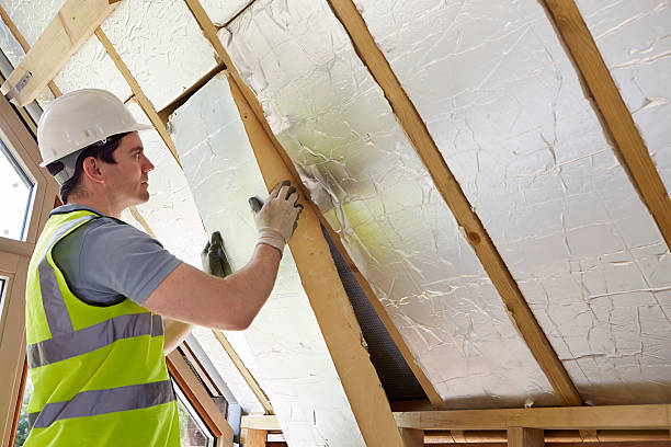 Best Commercial Insulation Services  in East Honolulu, HI